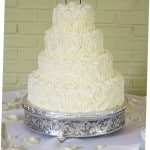 Buttercream Roses Wedding Cake Blue Bird Toppers
