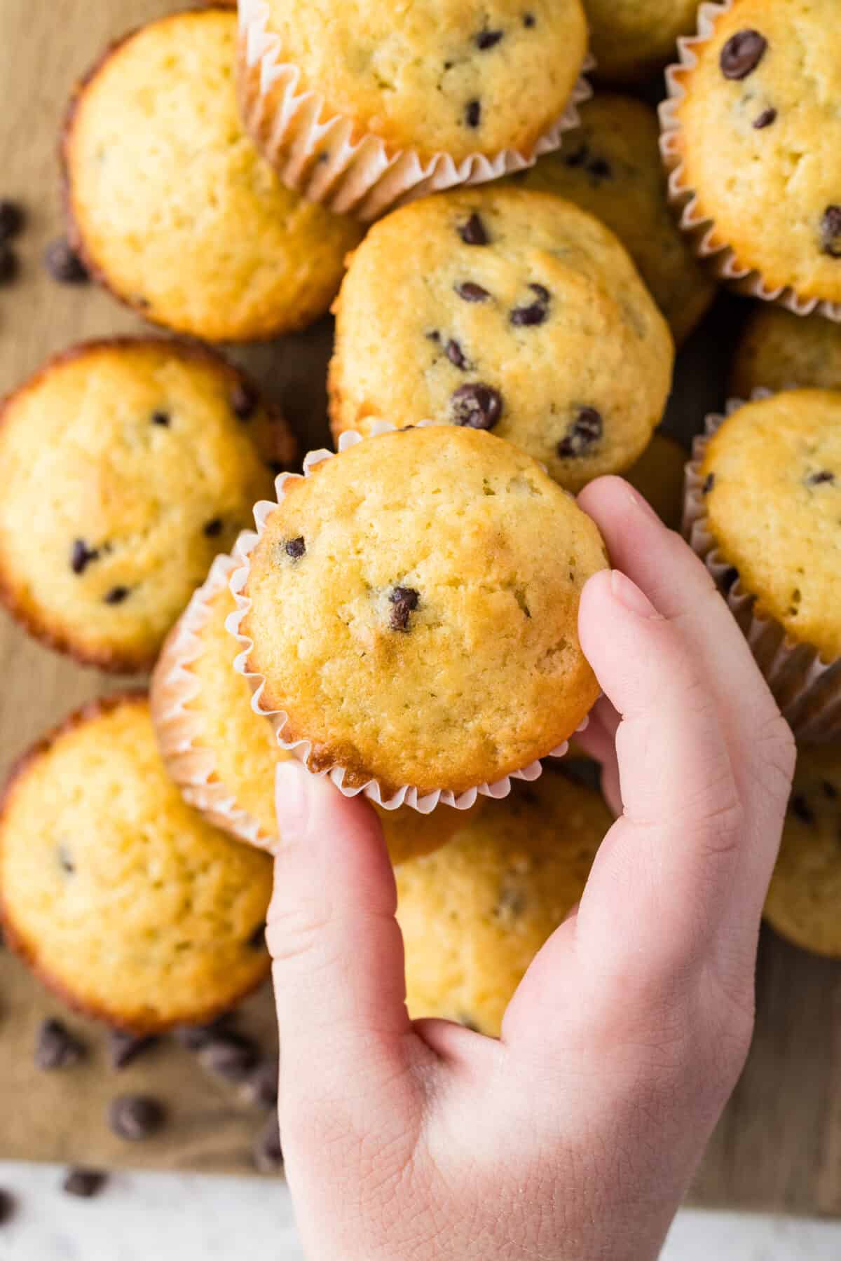 a hand grabbing a mini chocolate chip muffin from a stack