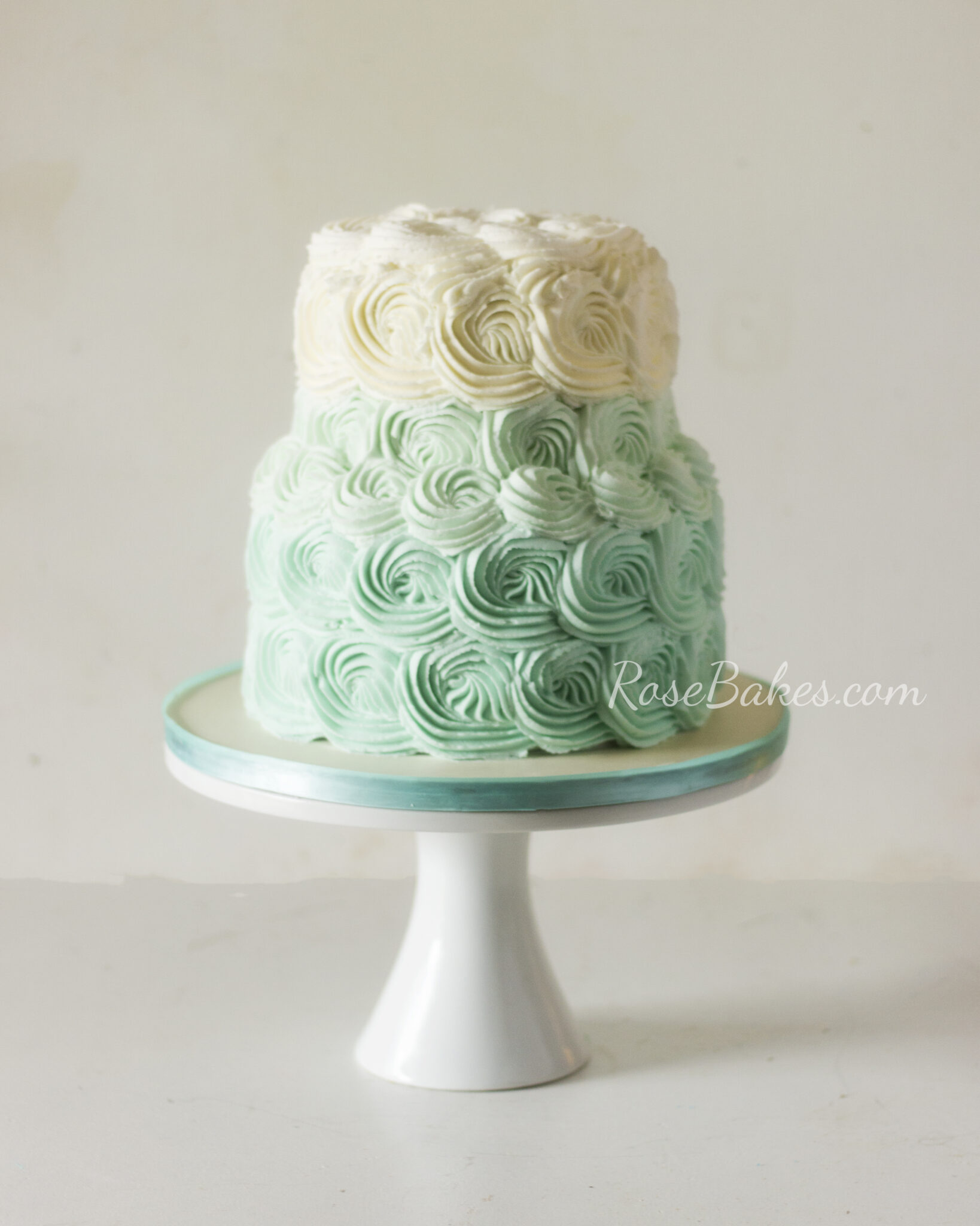 teal ombre buttercream roses cake