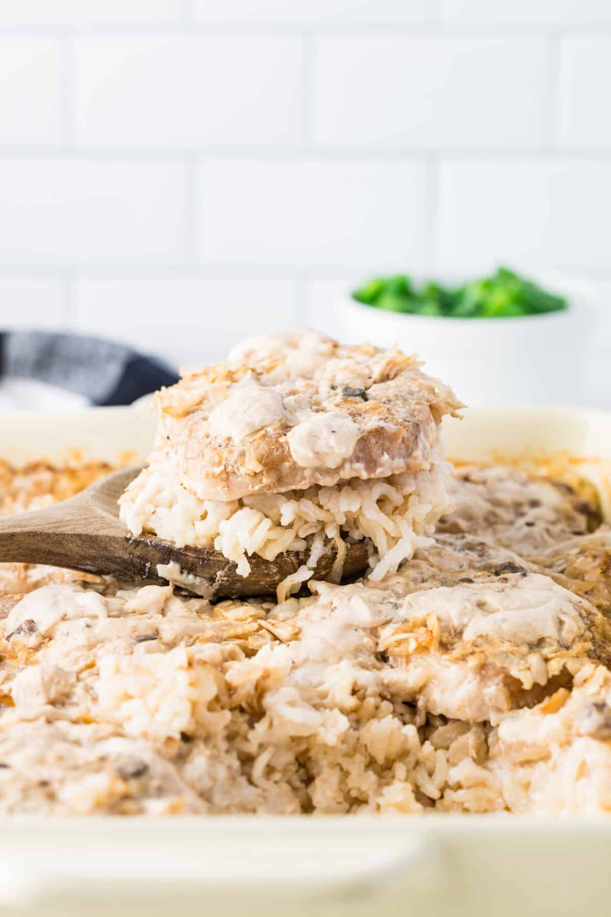 spoon of pork chops and rice