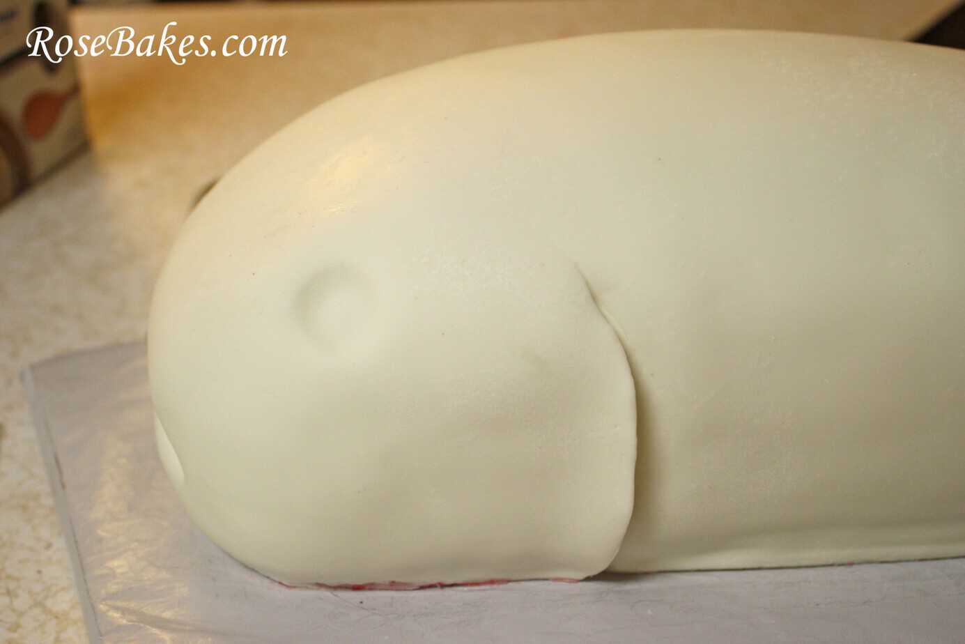 How to Make a Catfish Cake 10