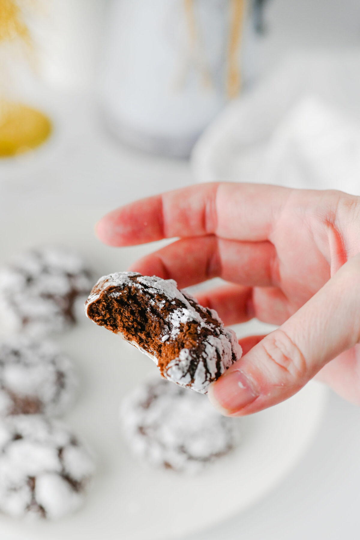 hand holding chocolate crackle cookie