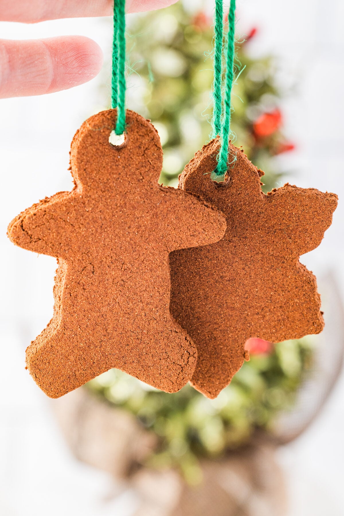cinnamon ornaments hanging on green strings