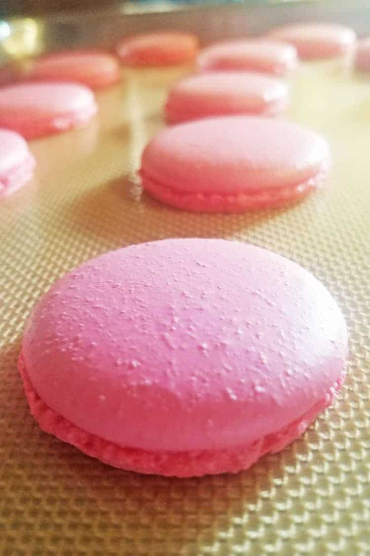 strawberry cheesecake macarons piped onto silicone mat