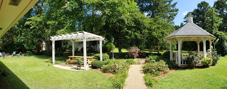 Backyard Panoramic