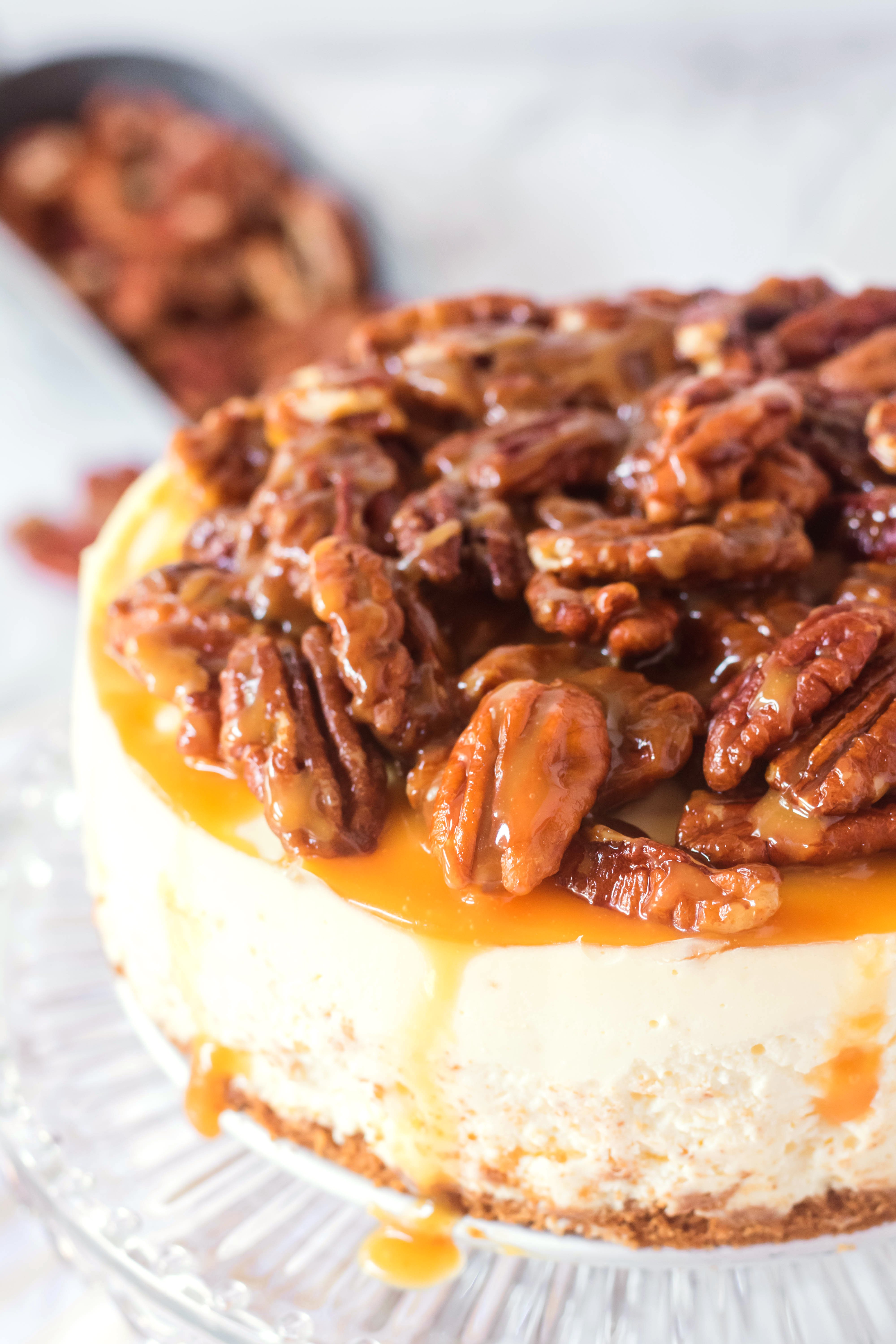 Instant Pot Pecan Pie Cheesecake