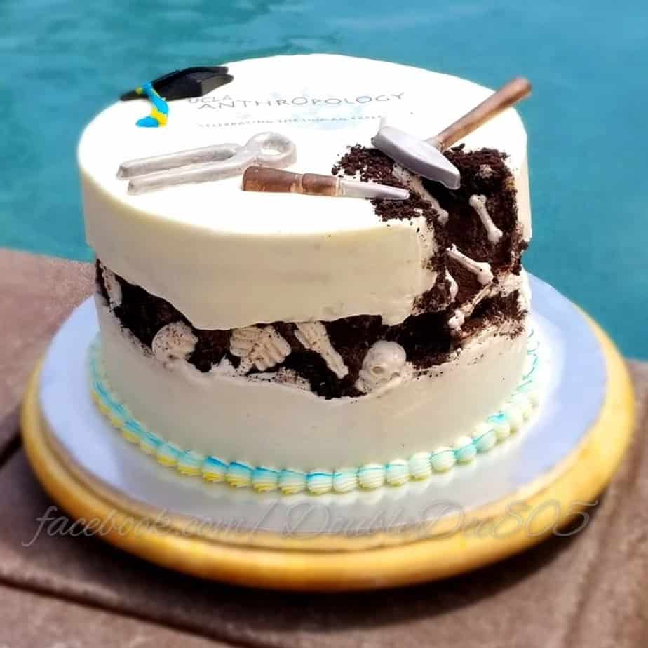  Archeology Fault Line Cake with Bones and Dirt in the fault line with tools on top