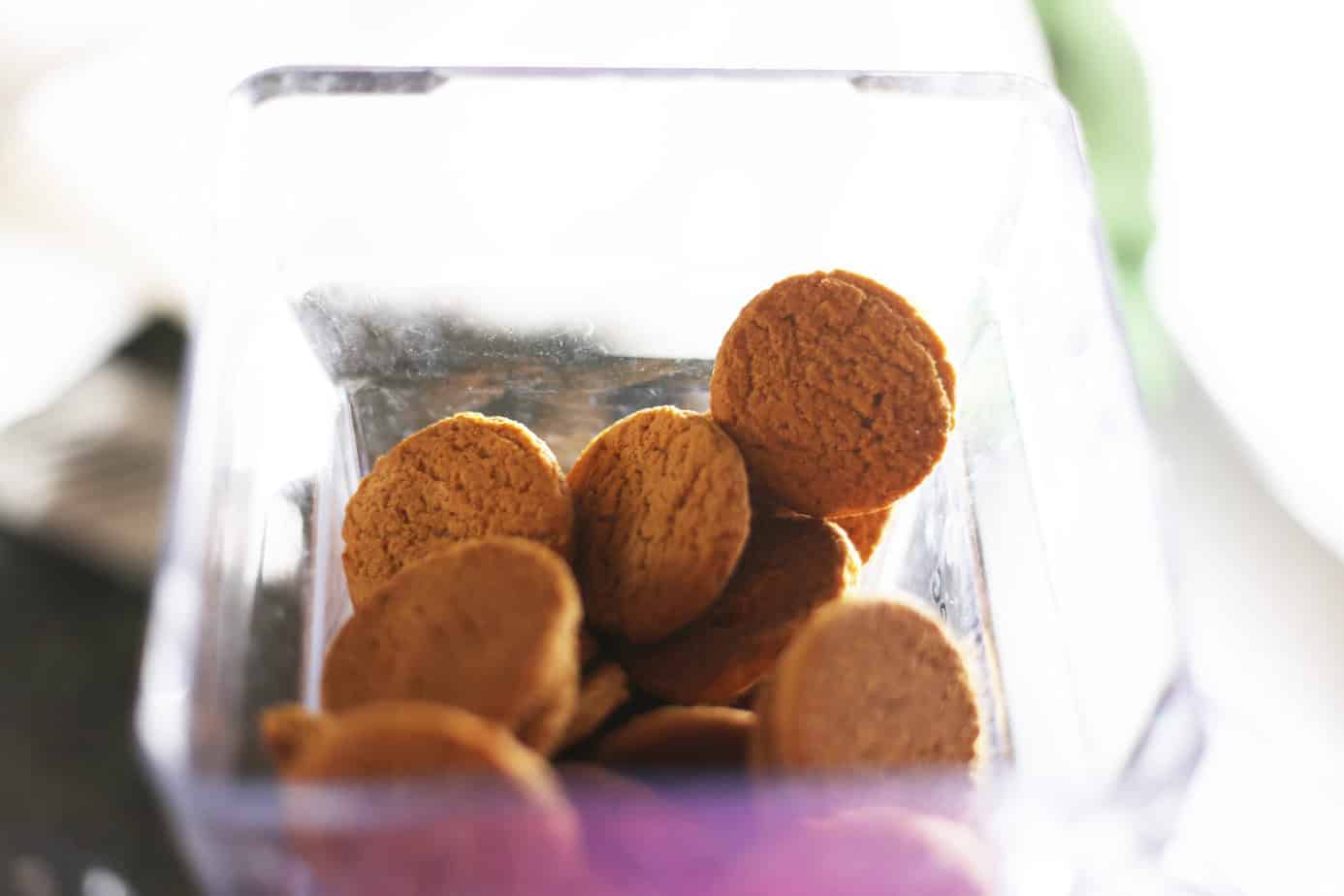 gingersnap cookies in blendtec blender