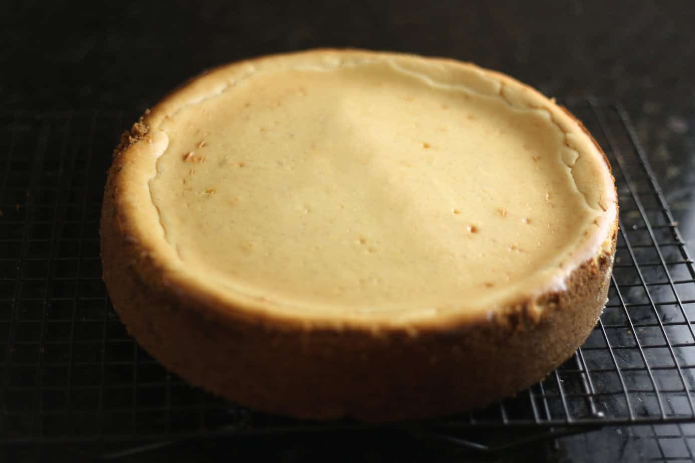 baked eggnog cheesecake