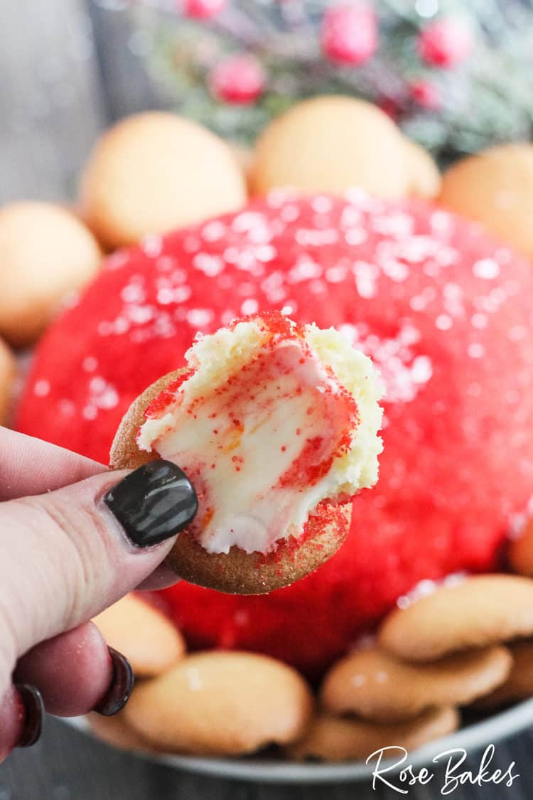 dessert cheese ball being eaten with vanilla wafer