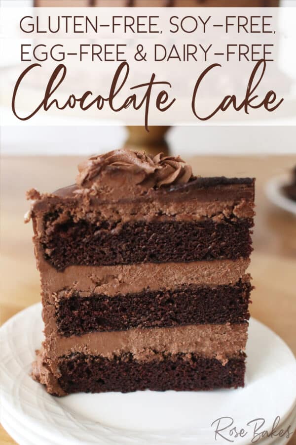 Gluten Free Soy Free Dairy Free Egg Free Chocolate Drip Cake Slice NWM 