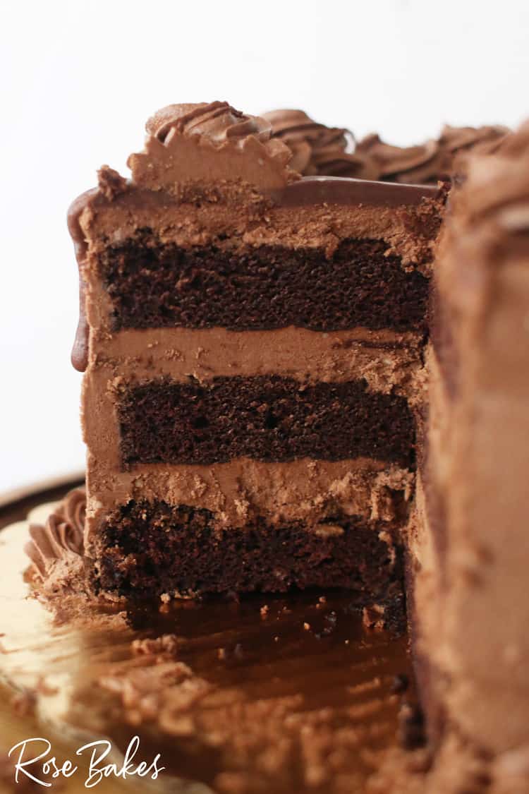 The inside view of the gluten-free, soy-free, egg-free, dairy-free chocolate cake with chocolate frosting. There are 3 layers of cake filled with frosting.