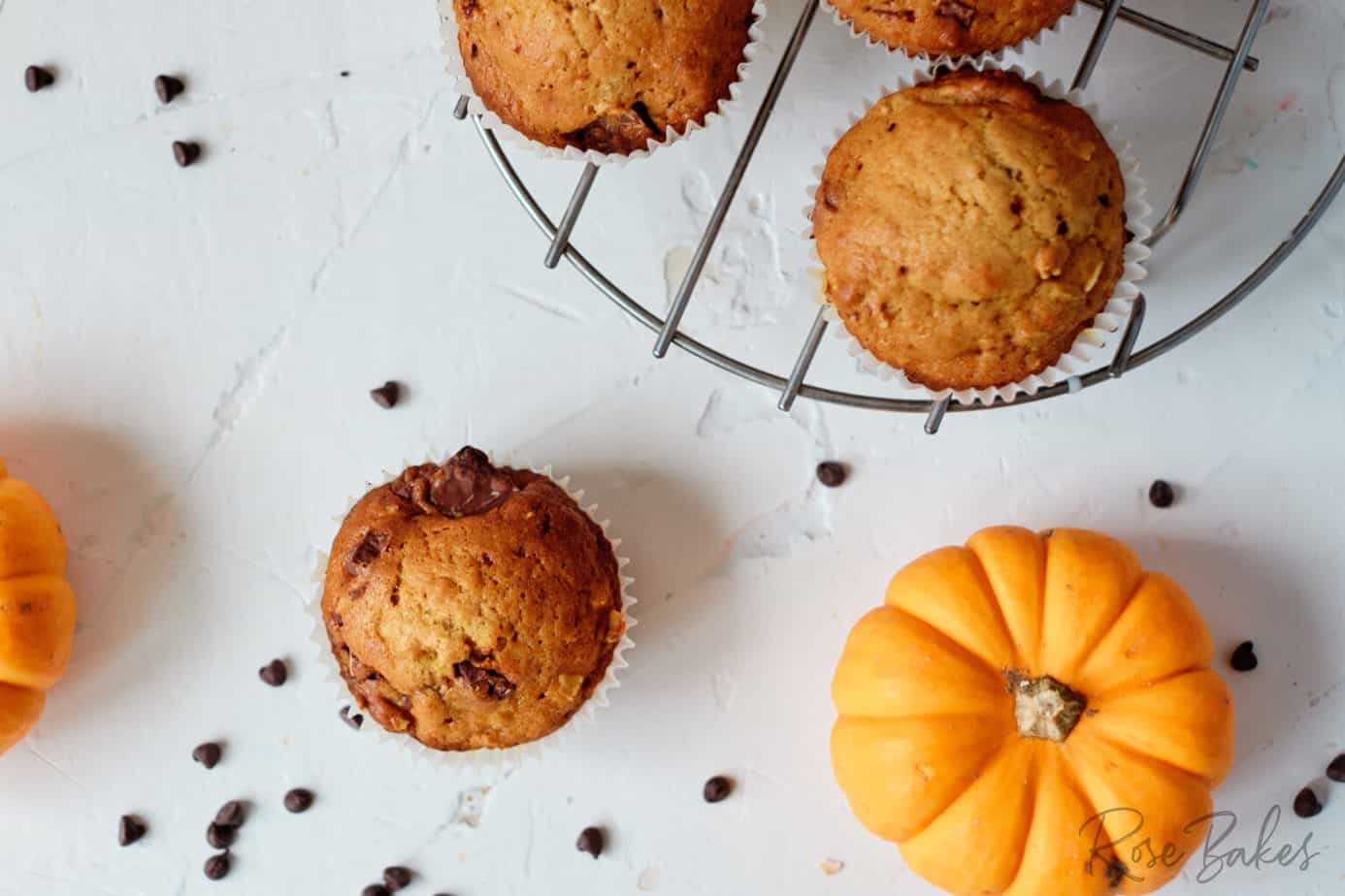 Top view of pumpkin chocolate chip muffins and mini orange pumpkins