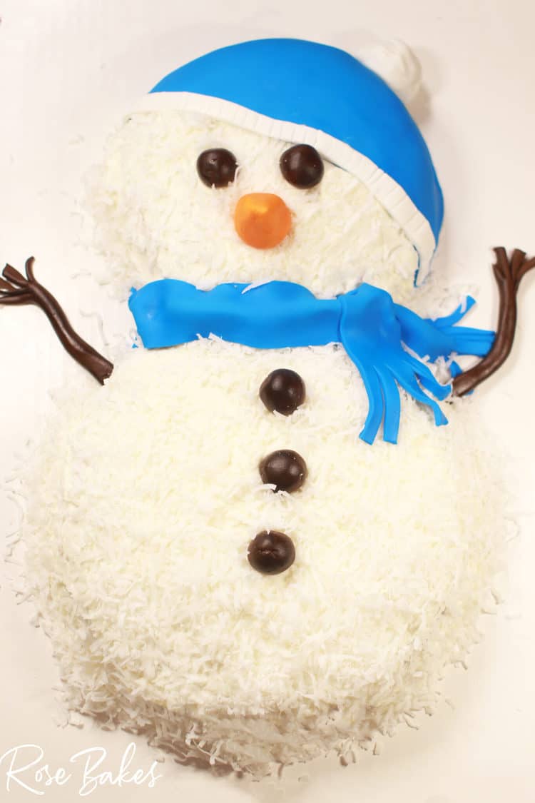 gluten-free honey coconut snowman cake