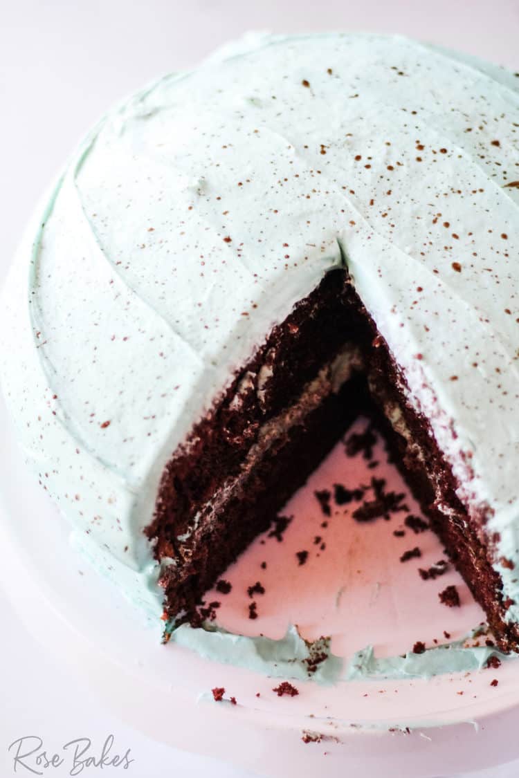 Homemade Robin Egg Chocolate Cake