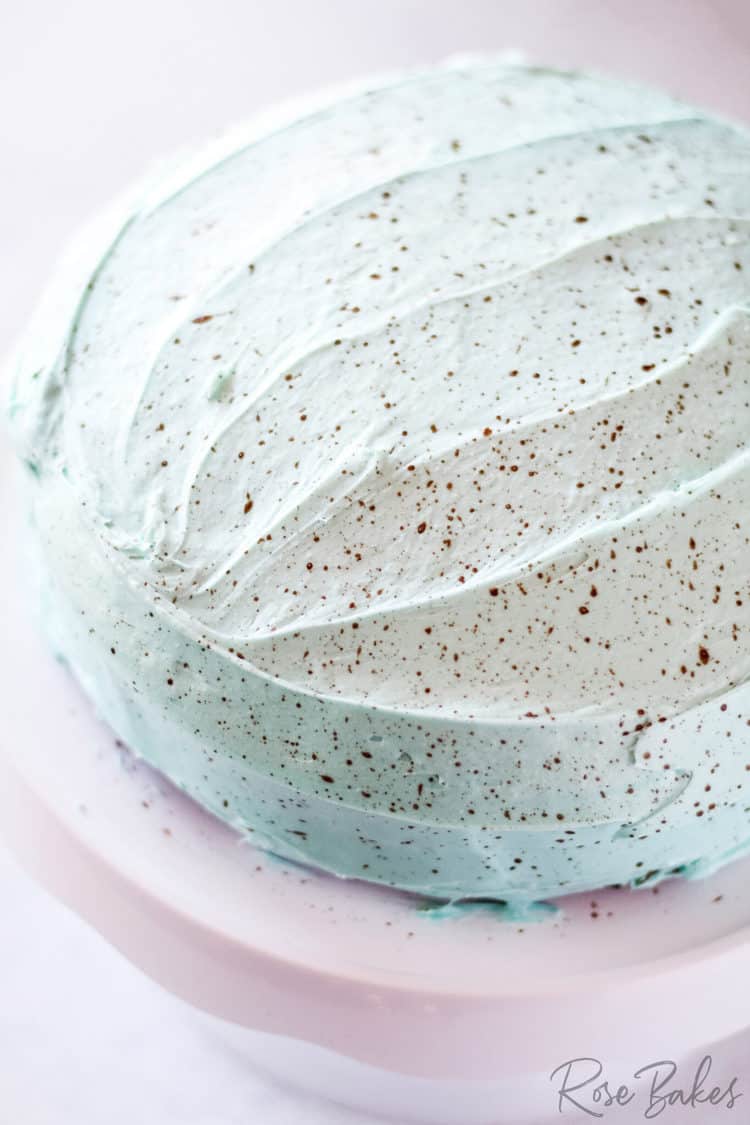 Homemade Robin Egg Chocolate Cake Recipe