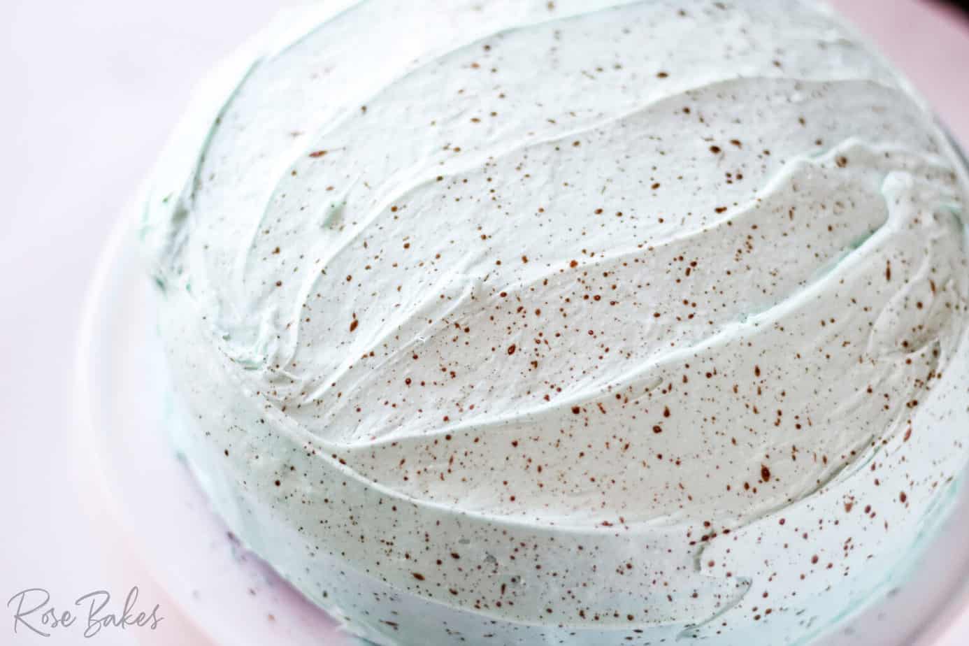 Homemade Robin Egg Chocolate Cake on display pan 