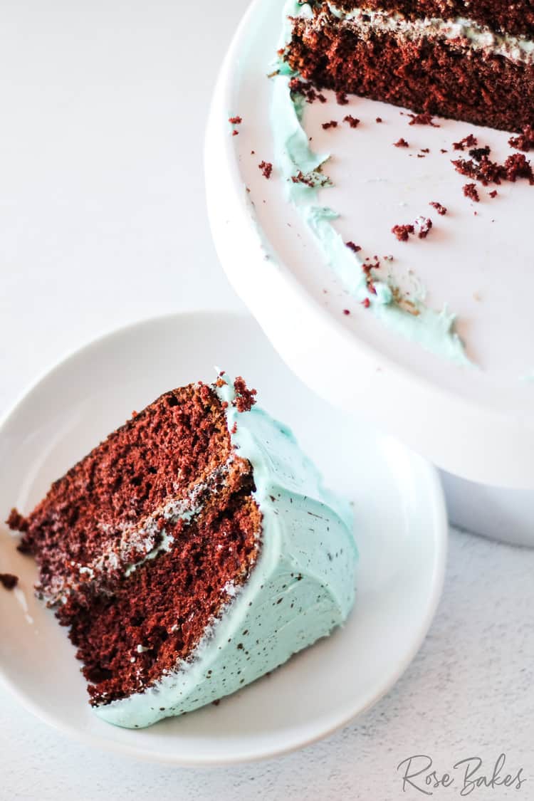 Homemade Robin Egg Chocolate Cake slice on white serving plate