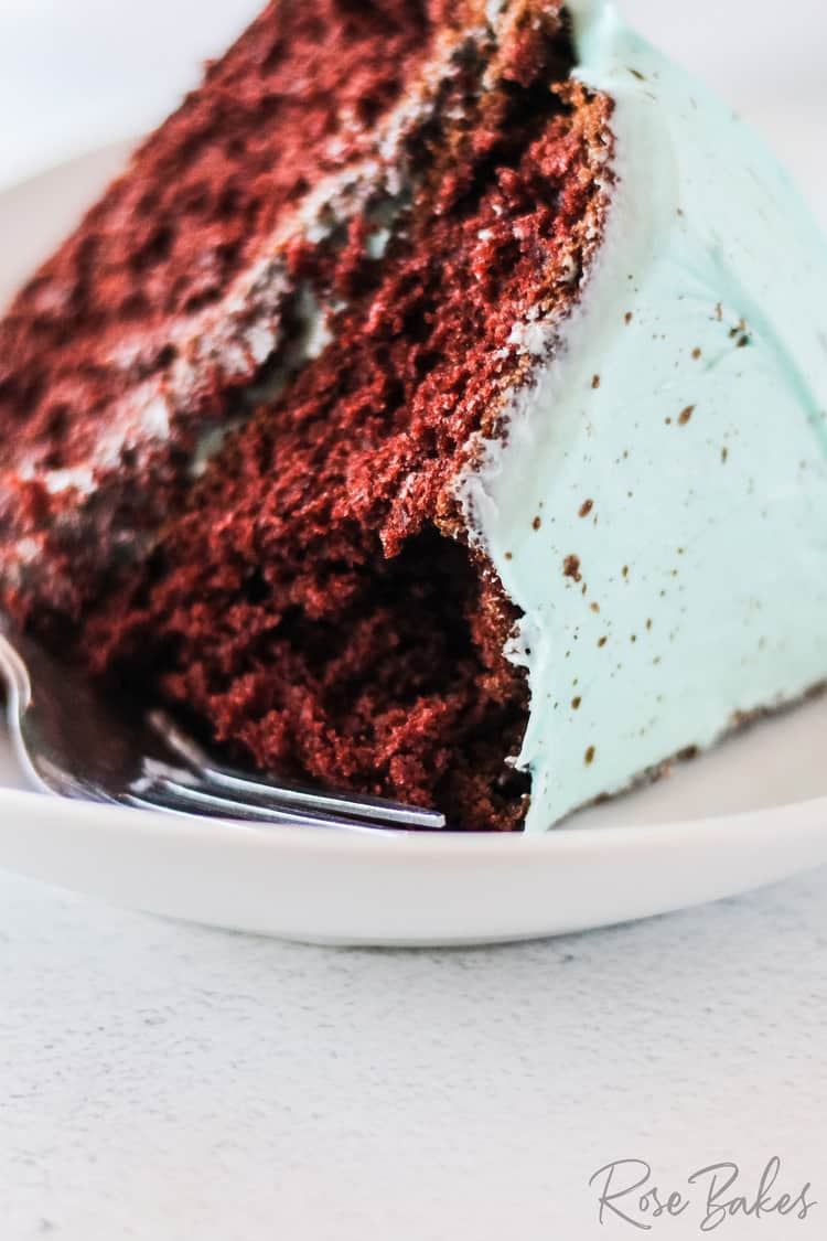 Homemade Robin Egg Chocolate Cake up close with a bite missing 