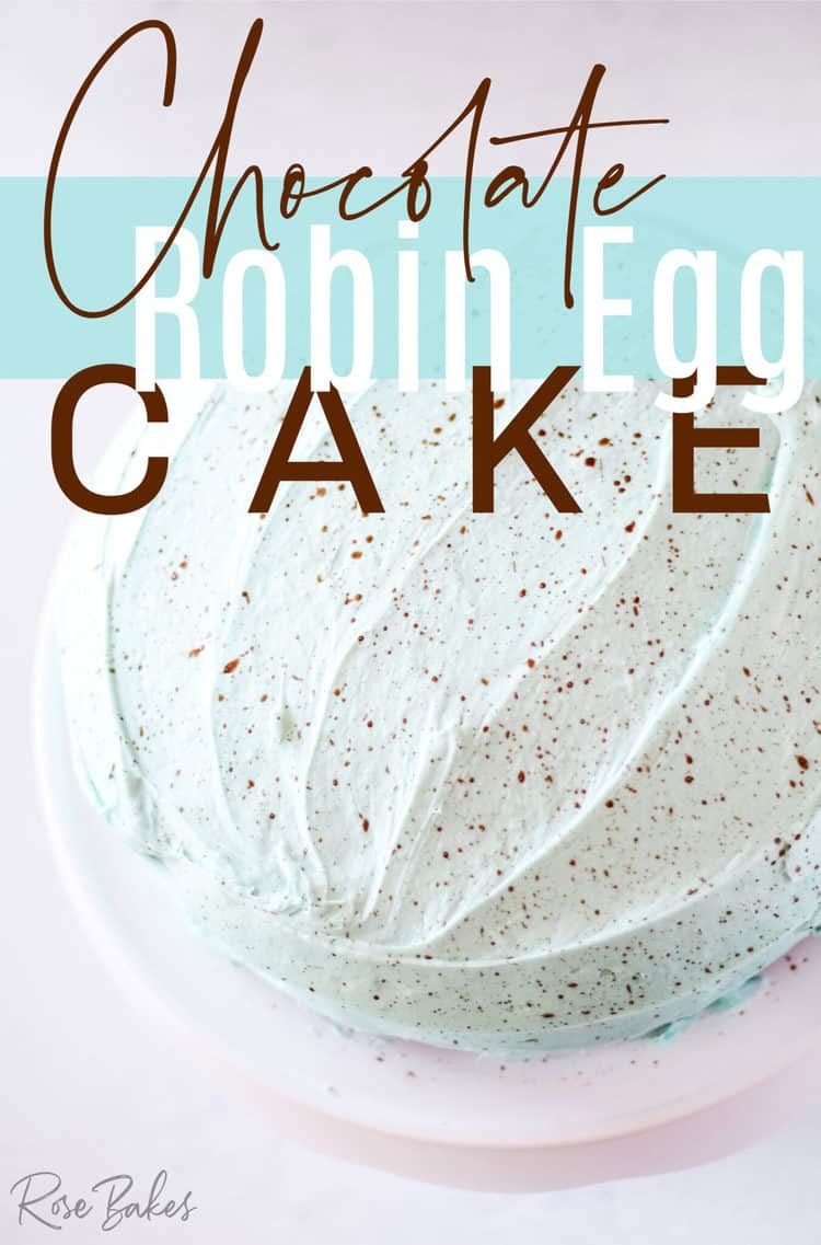 Chocolate Robin Egg Cake 