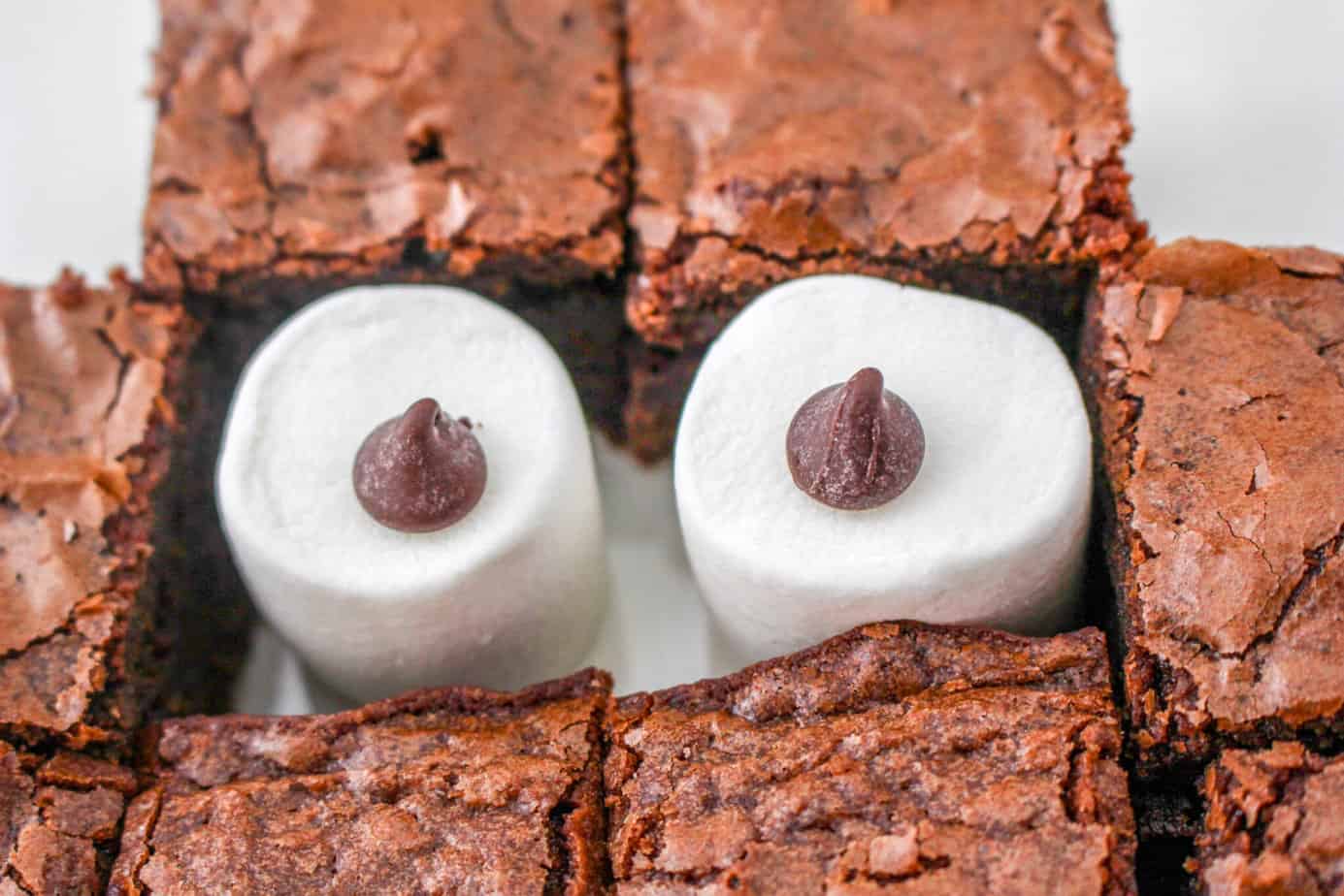 using marshmallows and chocolate chips for eyes on holiday Christmas dessert charcuterie board