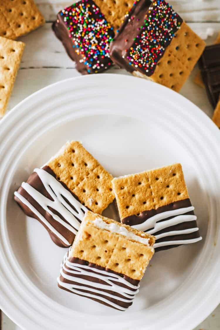 frozen s'mores on a white plate