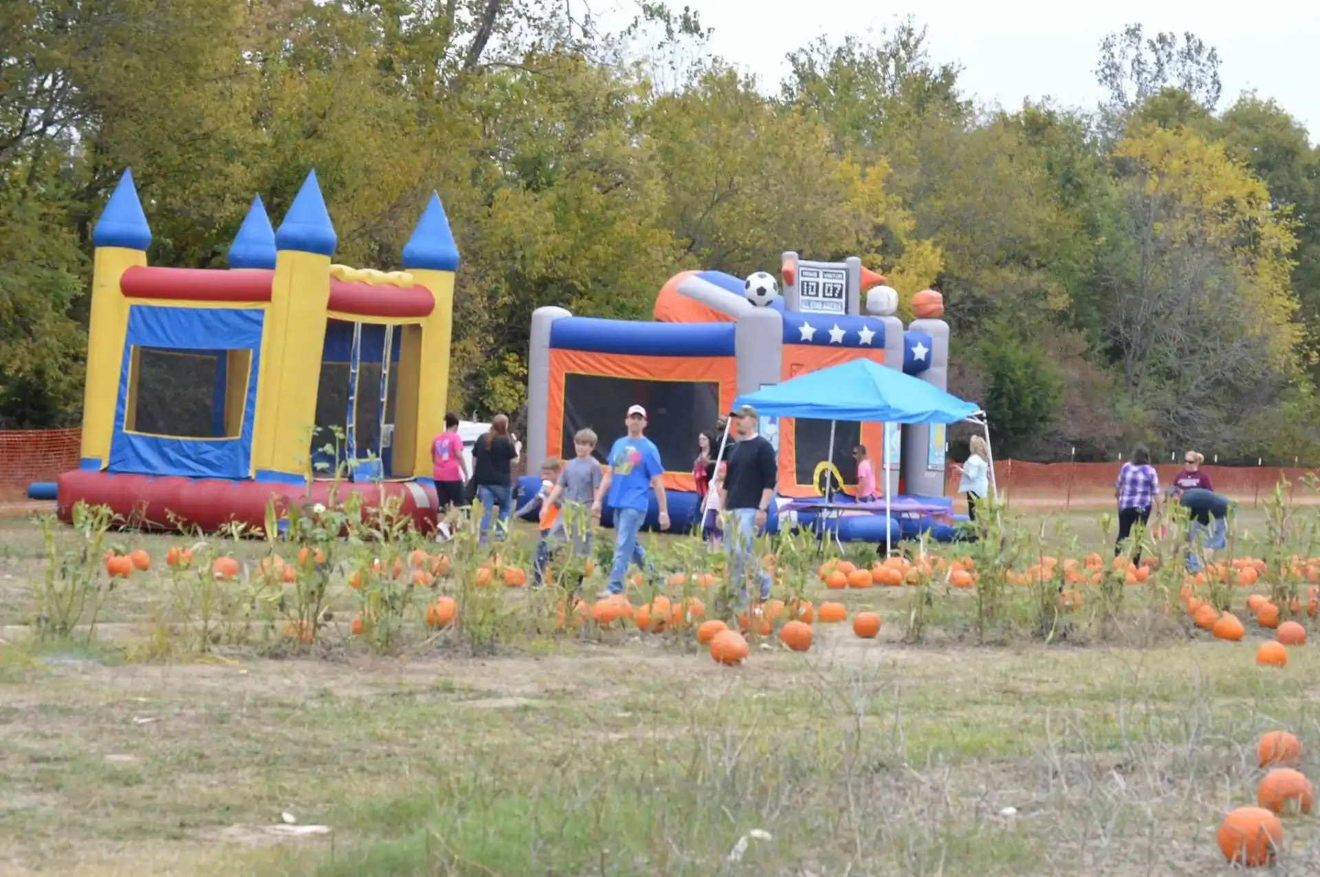 Pumpkin patch with bouncy houses in background