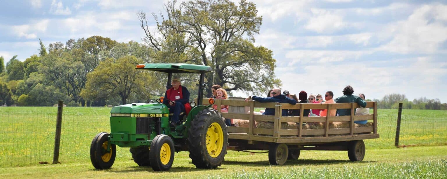 tractor with trailer for hayride