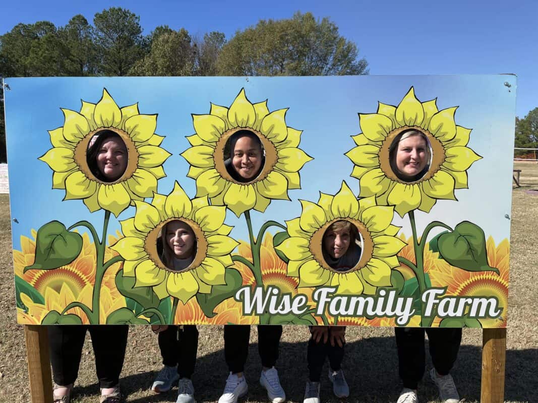 Wise Family Farms with people in sunflowers