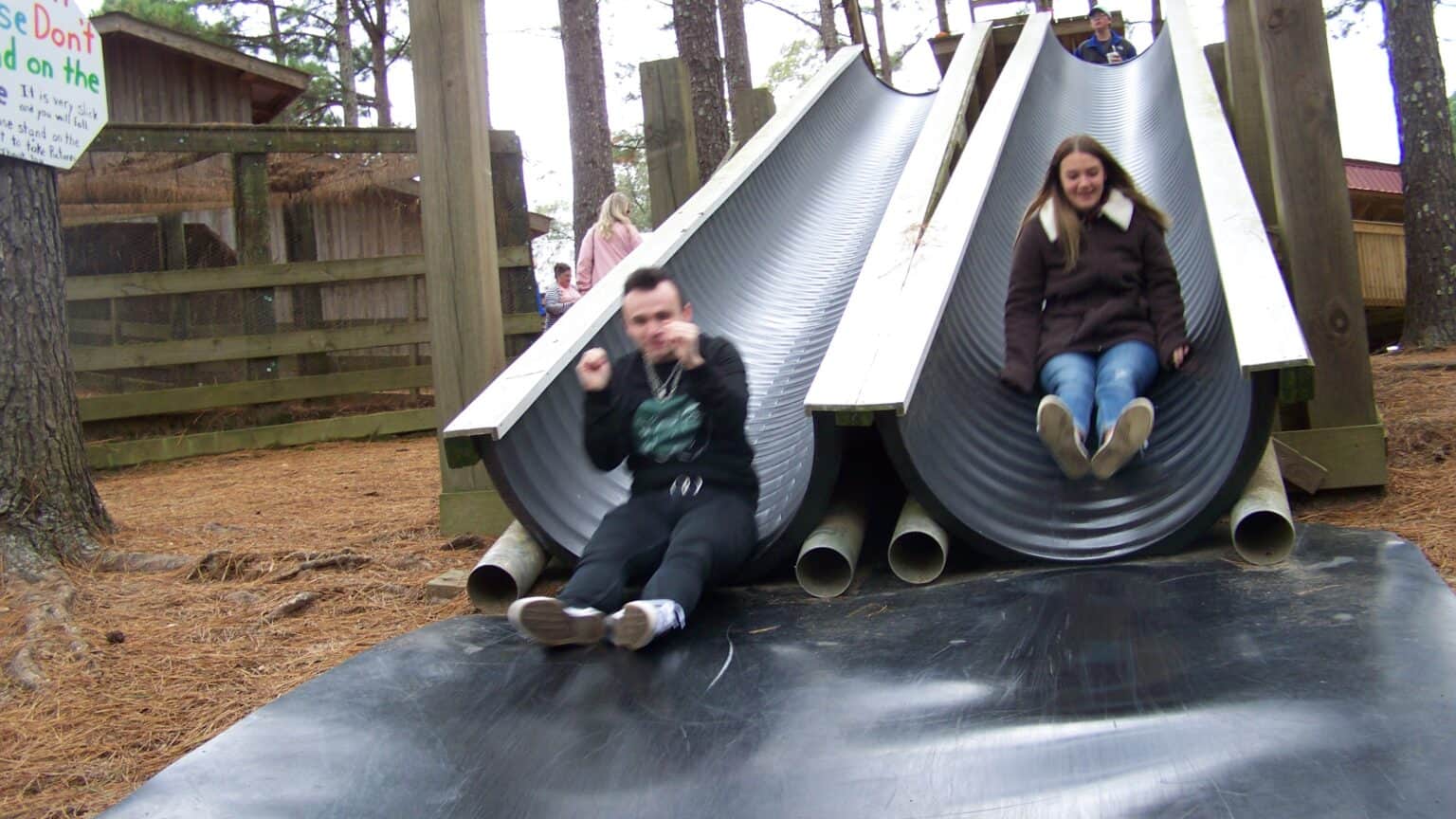 Picture of slide with kids on it at pumpkin patch