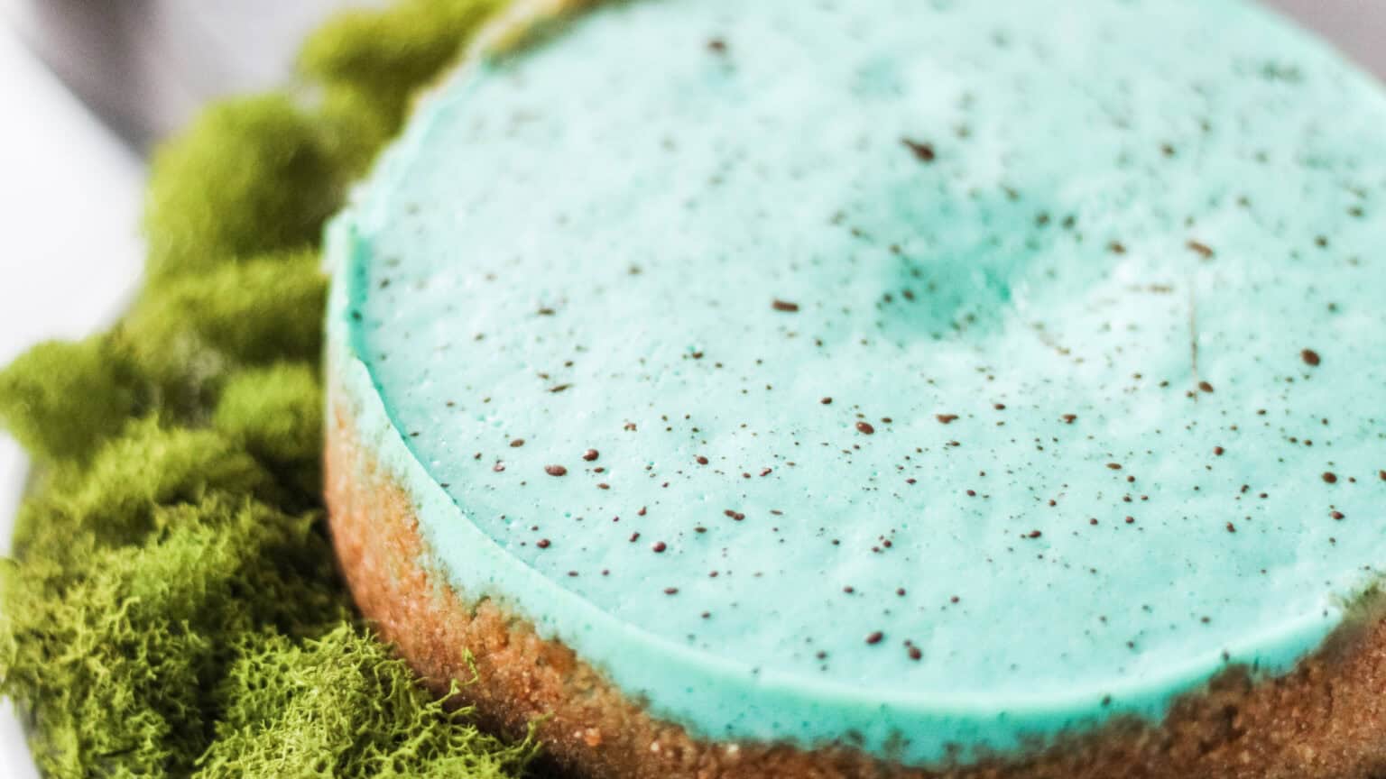 robins egg speckles on blue robins egg cheesecake