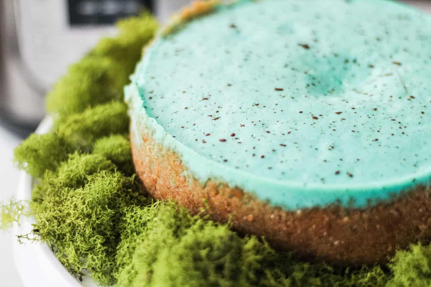 Instant Pot Robin's Egg Blue Cheesecake