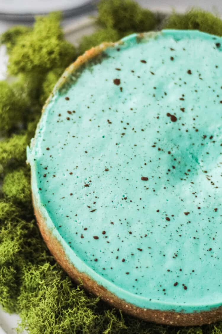 Instant Pot Robin’s Egg Blue Cheesecake