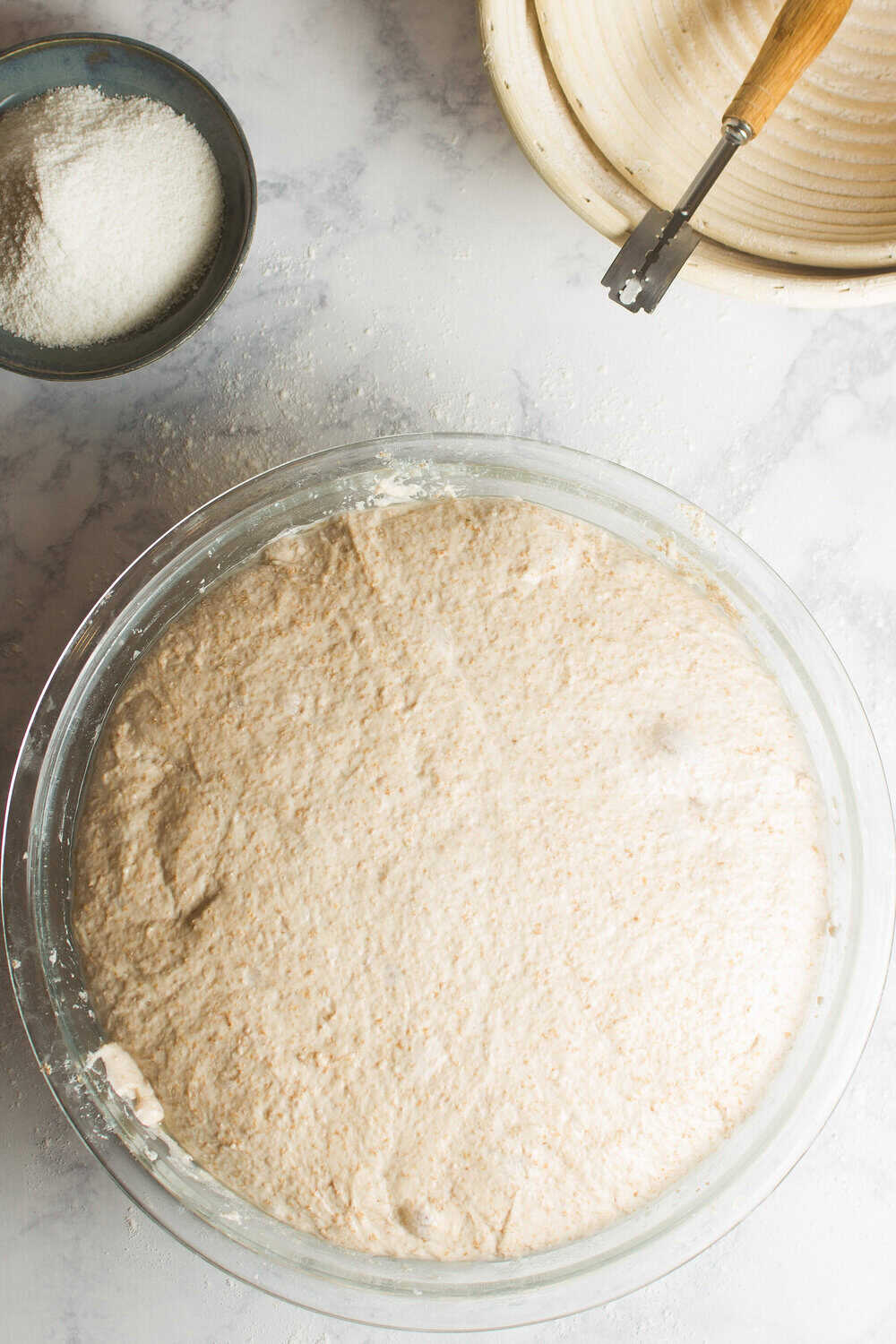 rising sourdough dough in a bowl