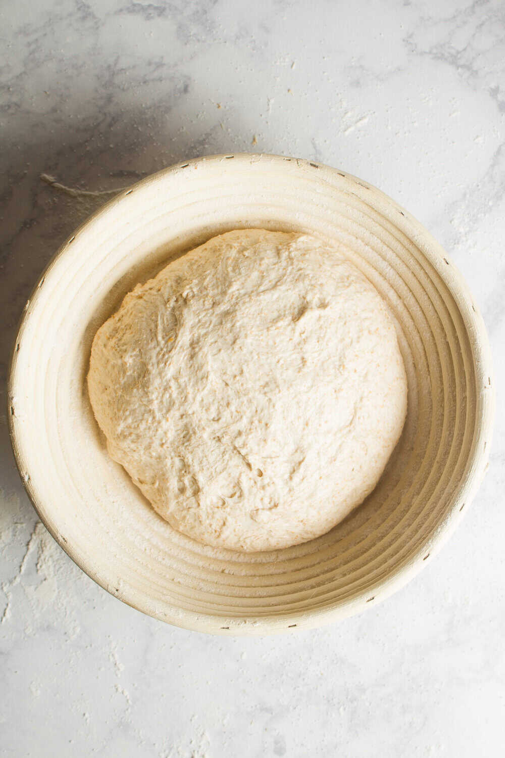 sourdough ball in proofing basket