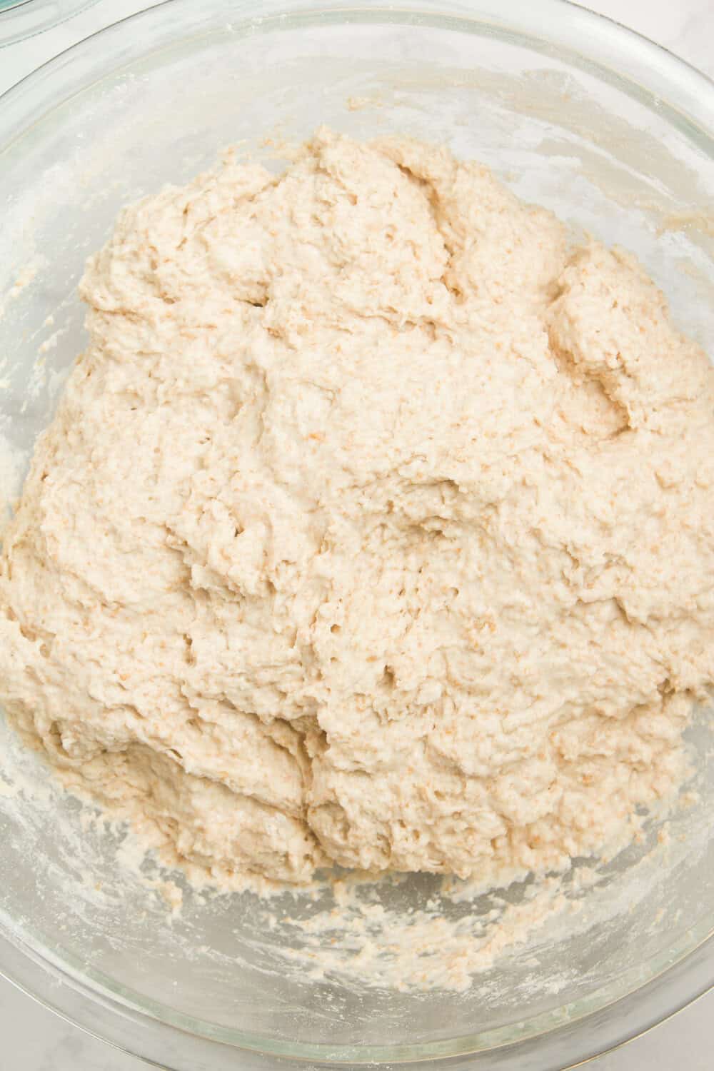 shaggy sourdough dough