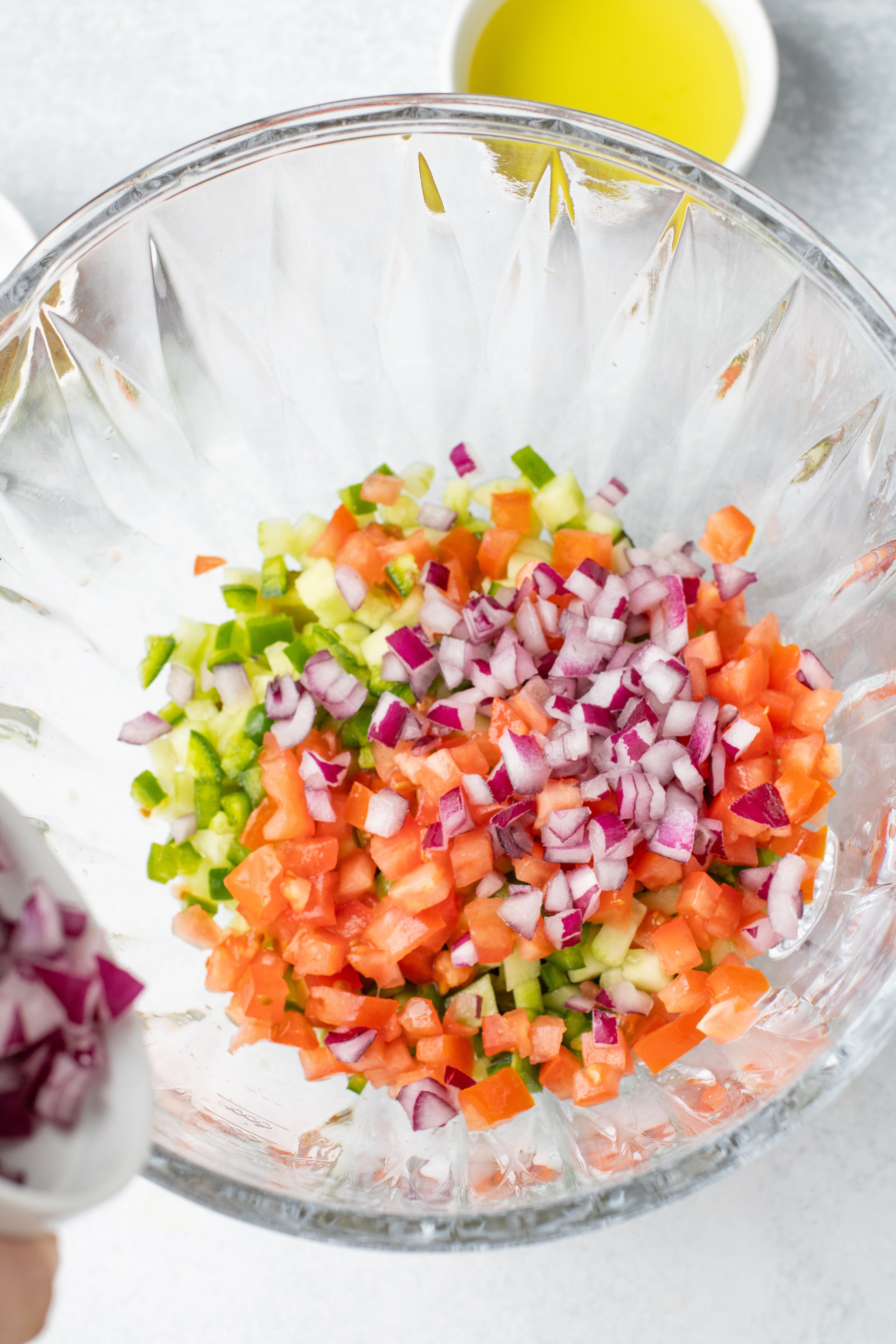 red onion and diced roma tomatoes added to other diced veggies