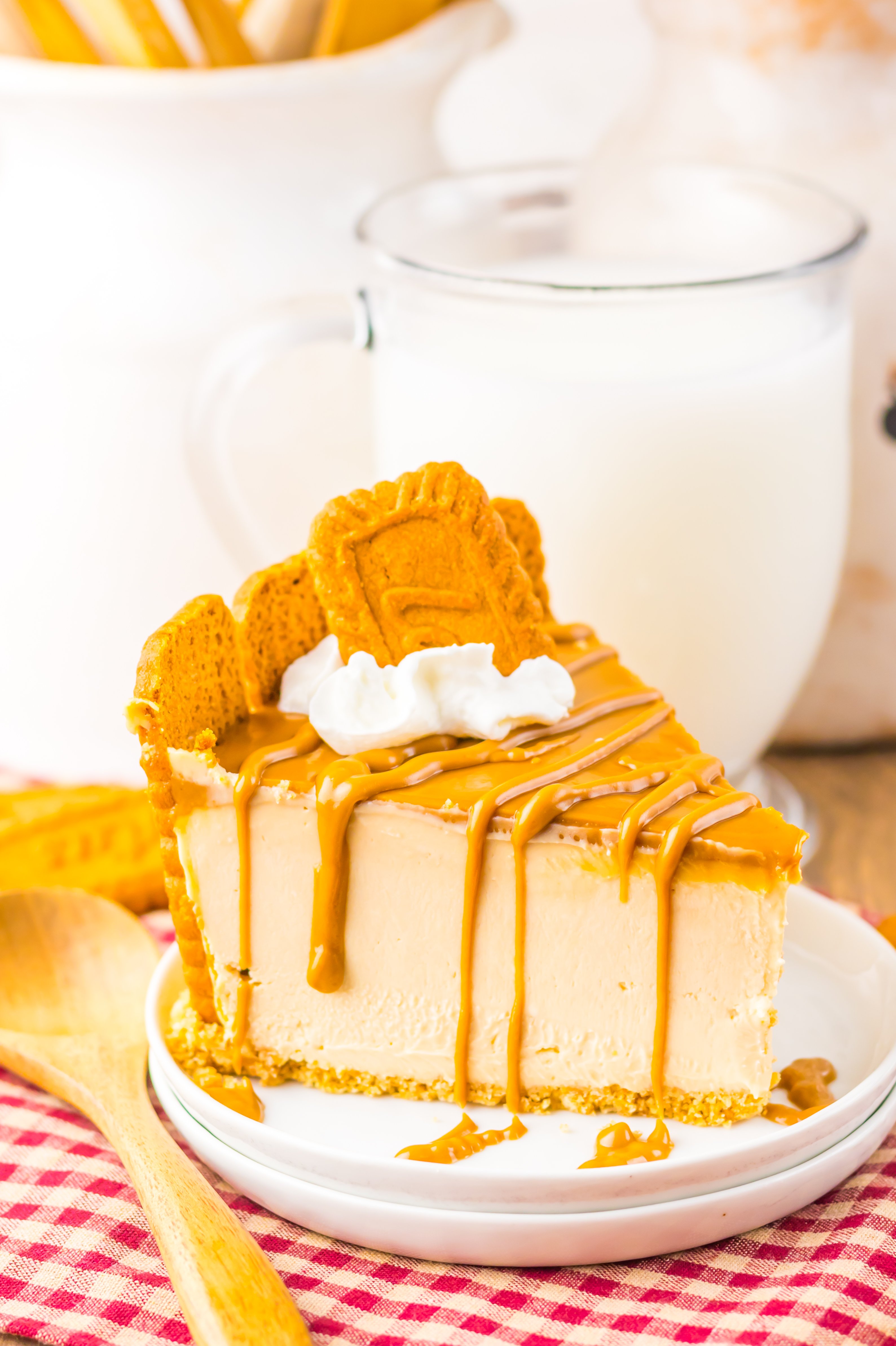 a slice of no-bake cookie butter cheesecake