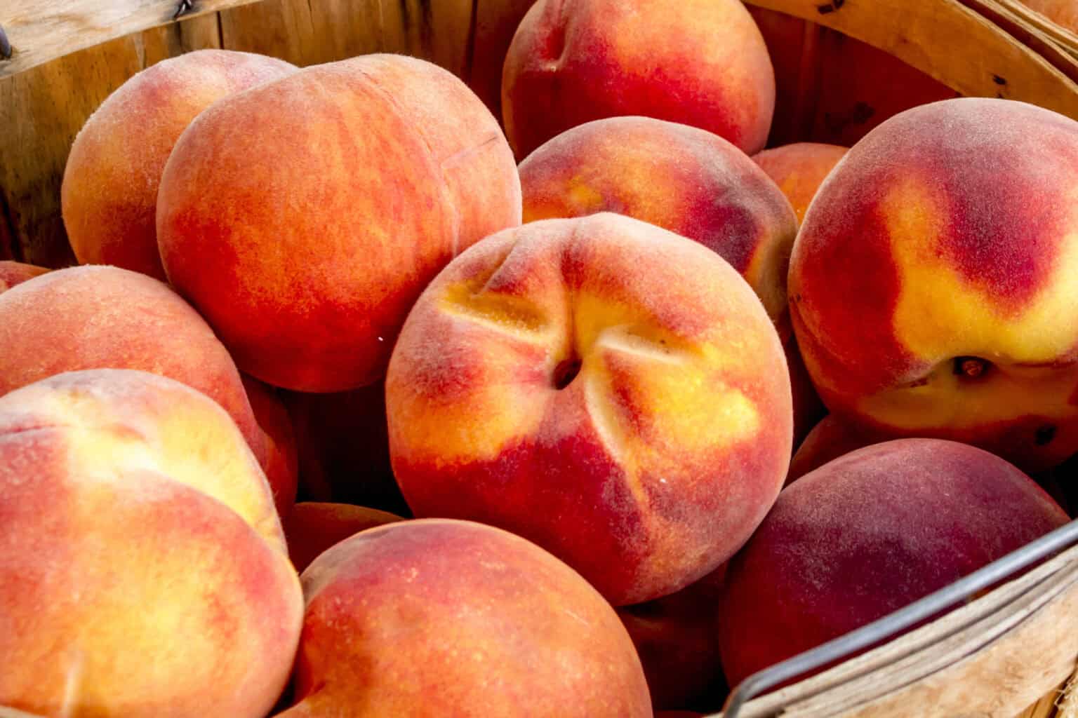 fresh peaches