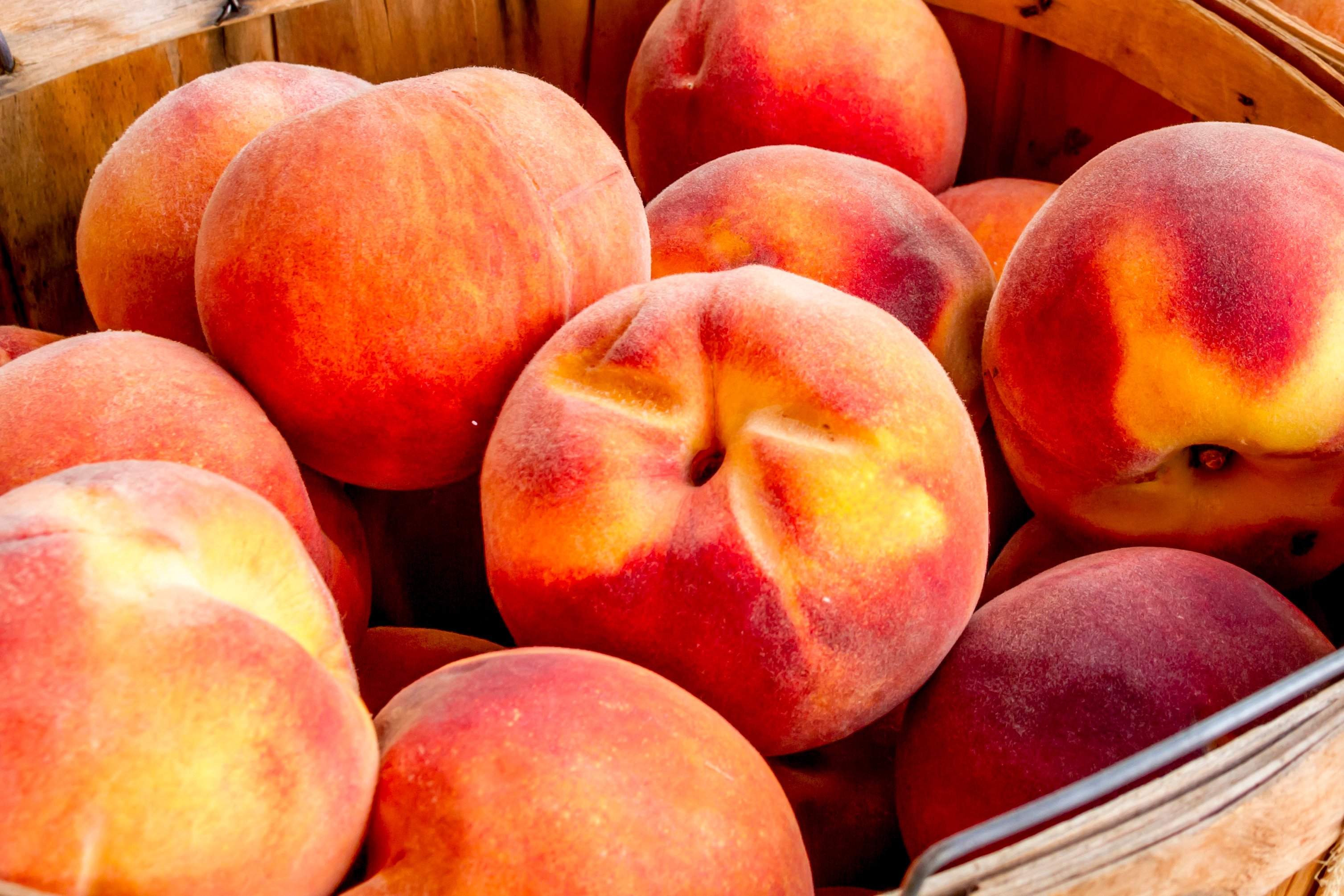 fresh peaches