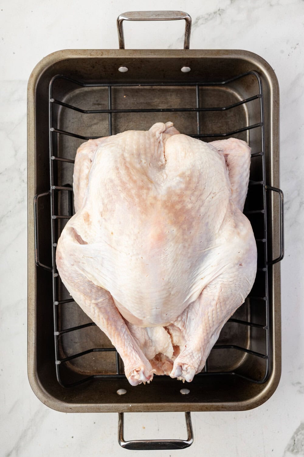 turkey in roasting pan