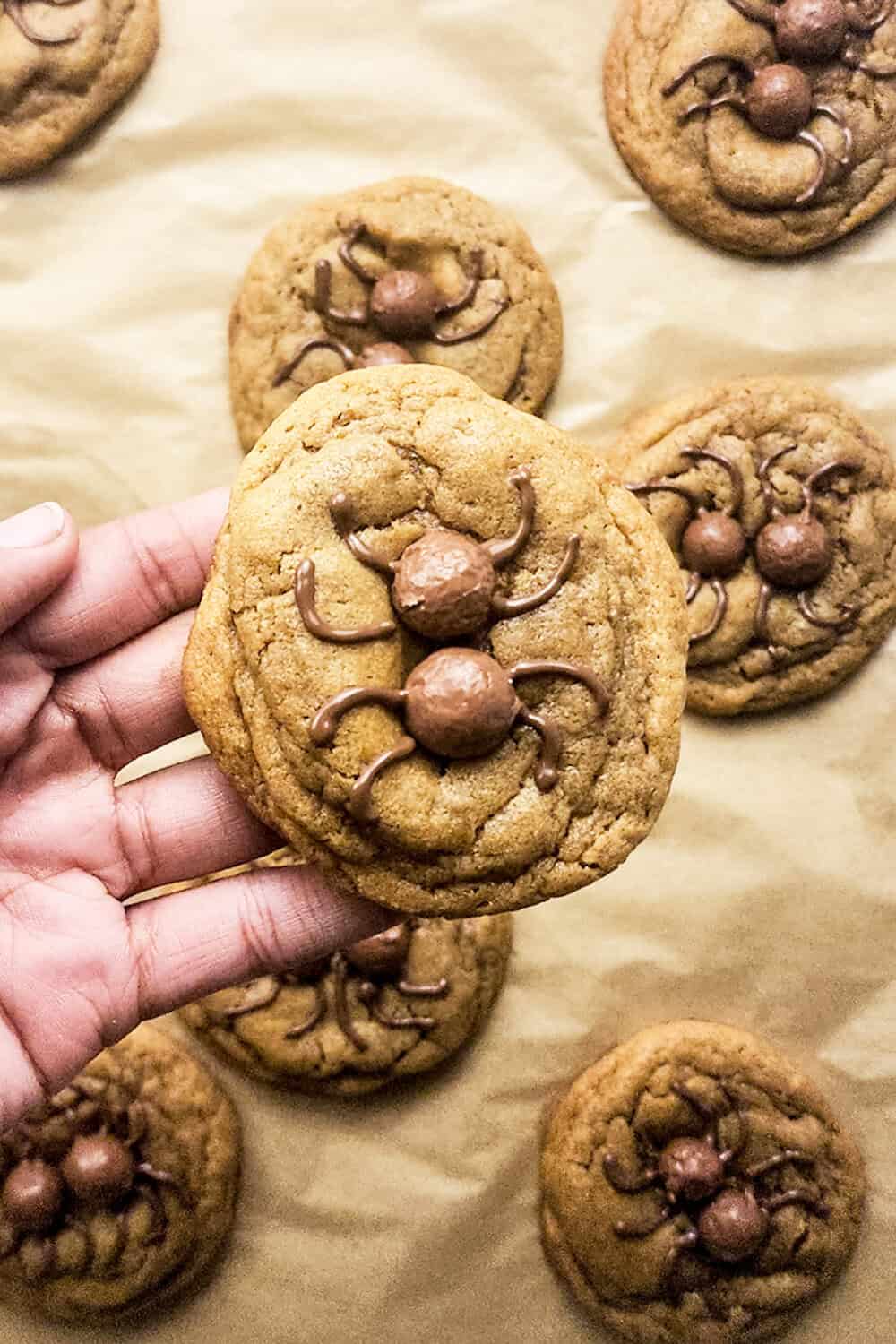 peanut butter spider cookie for halloween