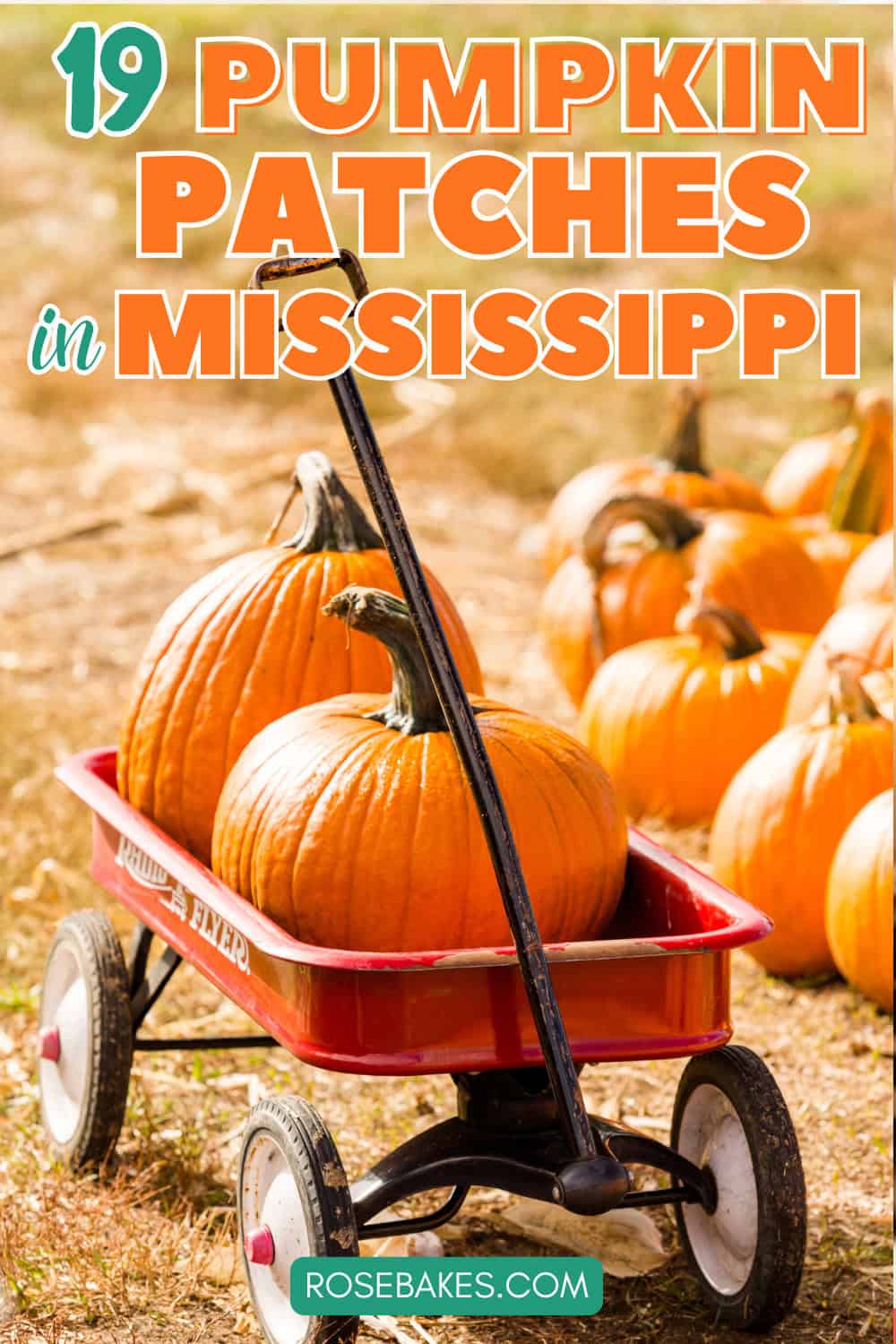 wagon with pumpkins in it with text overlay "19 pumpkin patches in Mississippi"
