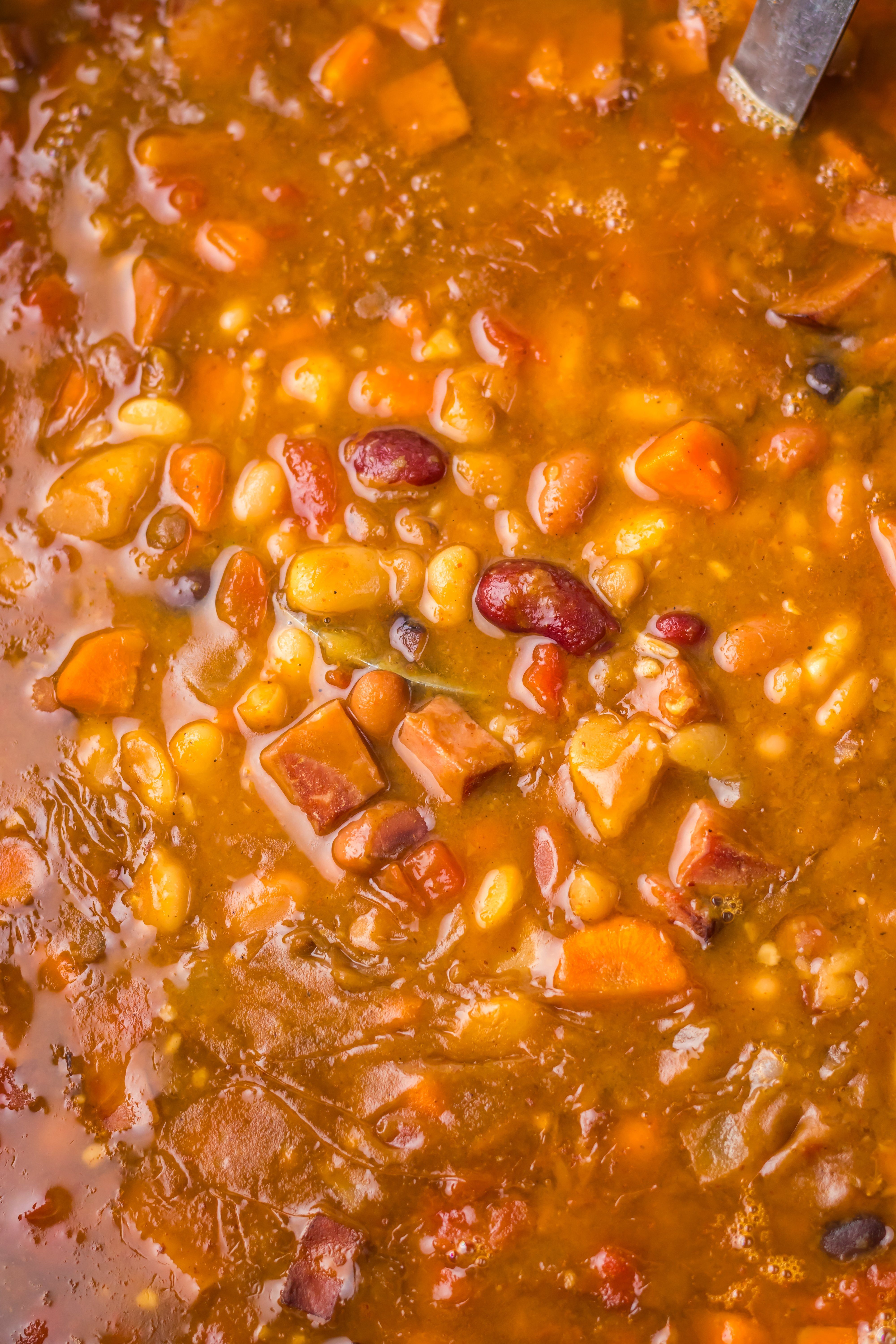 Slow Cooker 15 Bean and Ham Soup 