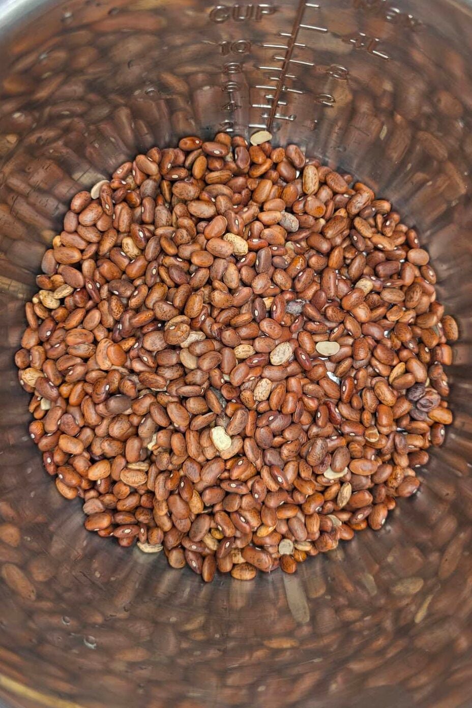dry pinto beans in pressure cooker