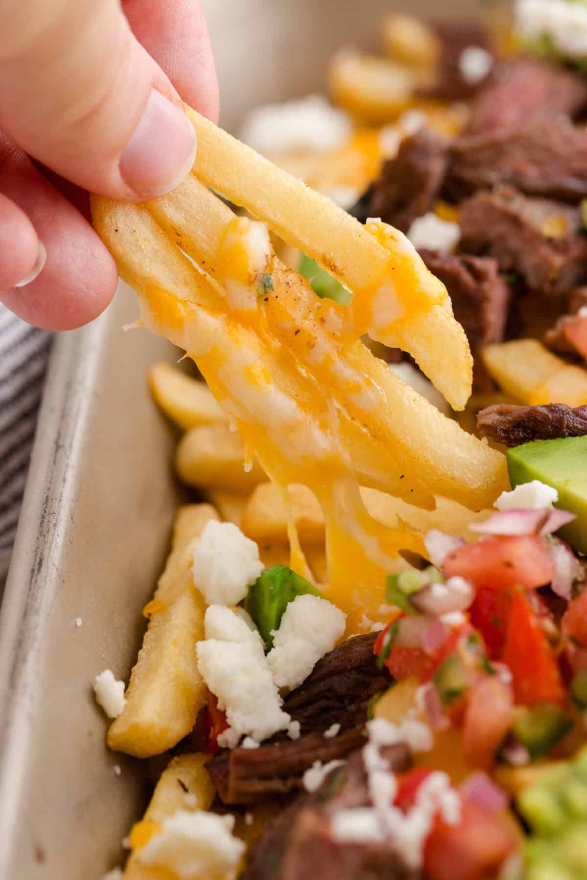 carne asada fries