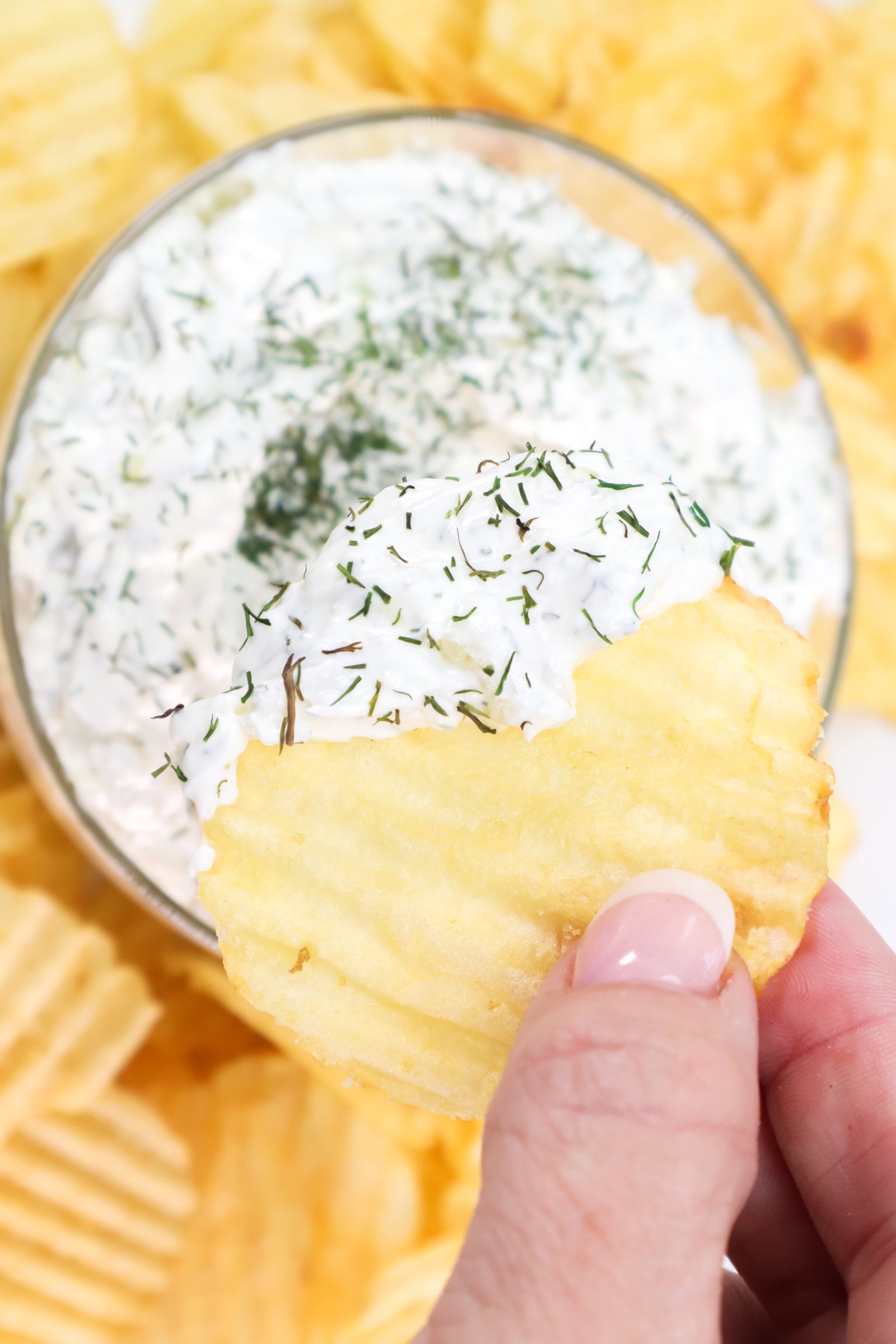 dill pickle dip with a chip