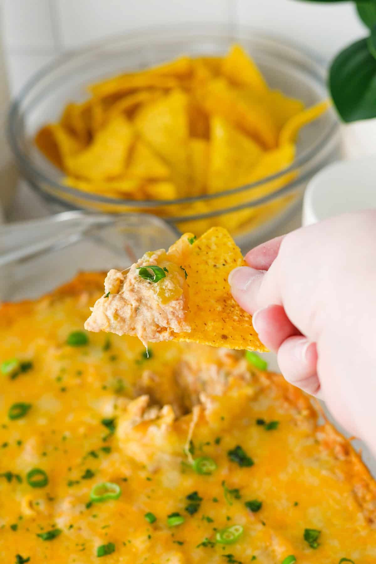 bean dip on a tortilla chip