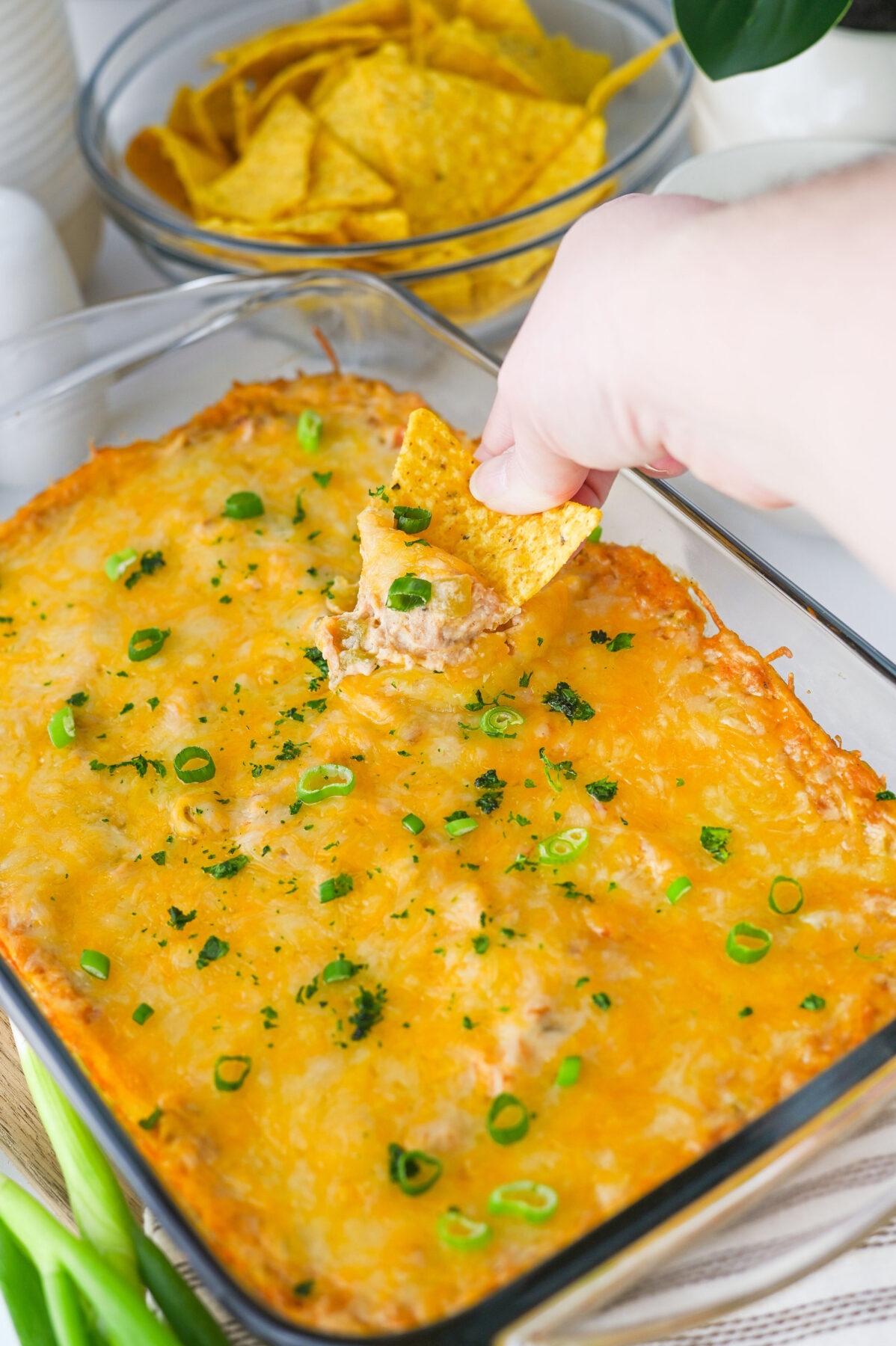 bean dip with a tortilla chip