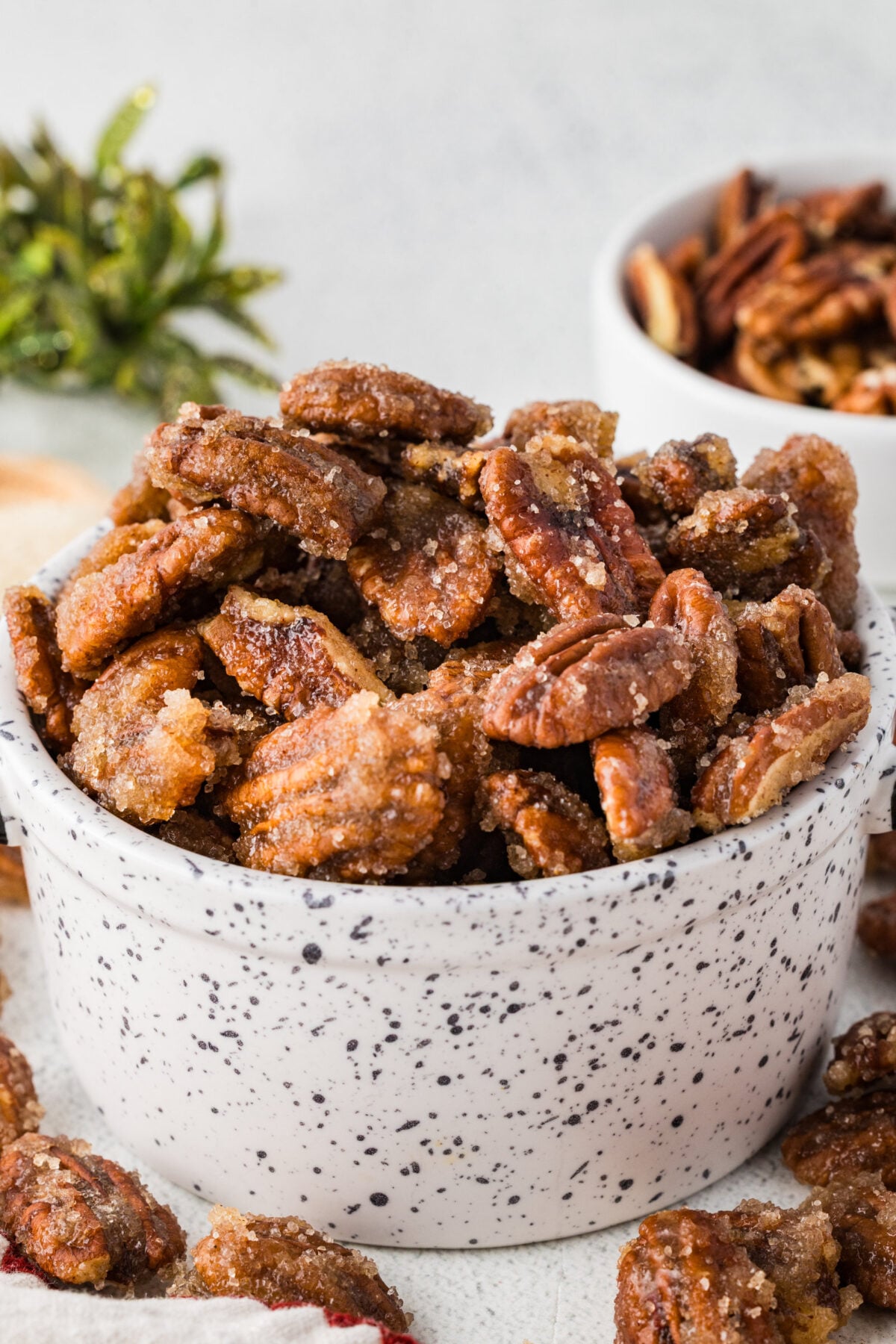 bowl of sugared pecans